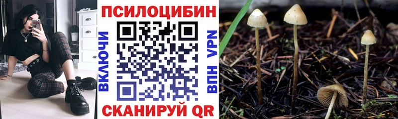 даркнет сайт  Агрыз  Псилоцибиновые грибы мухоморы 